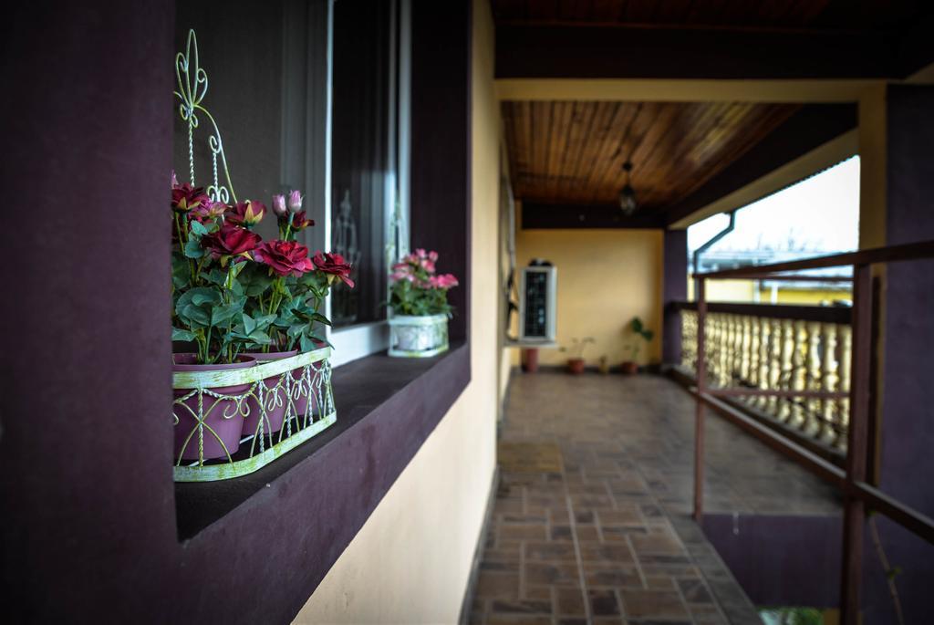 Collosal Apartment With Garden Bucharest Exterior photo